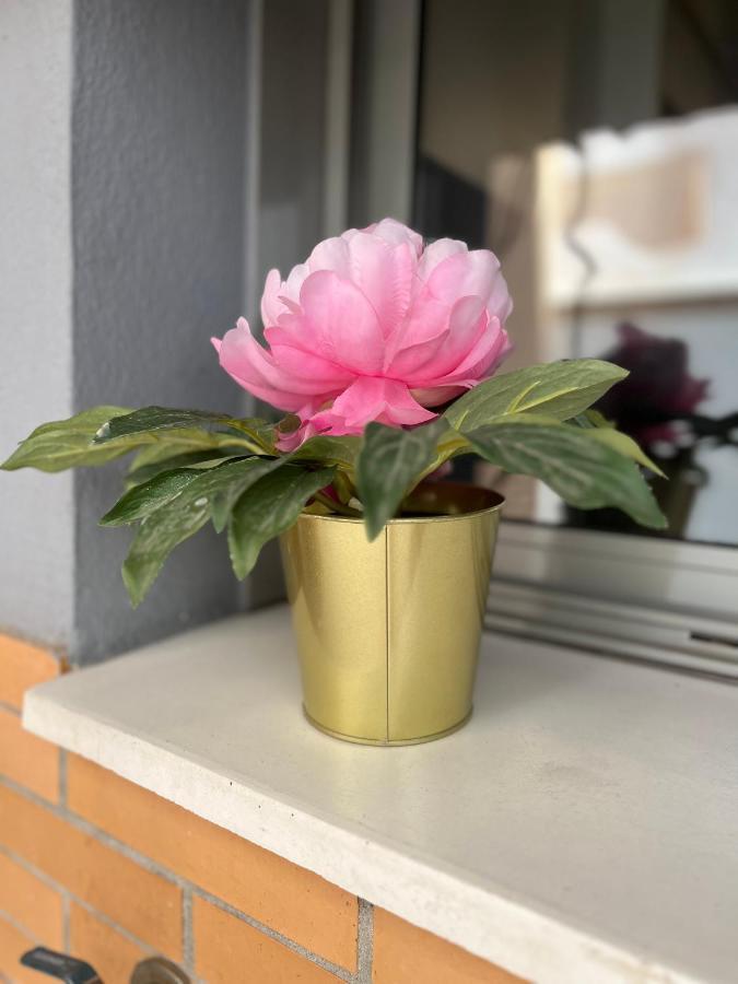 Rent4 Armengual Appartement Málaga